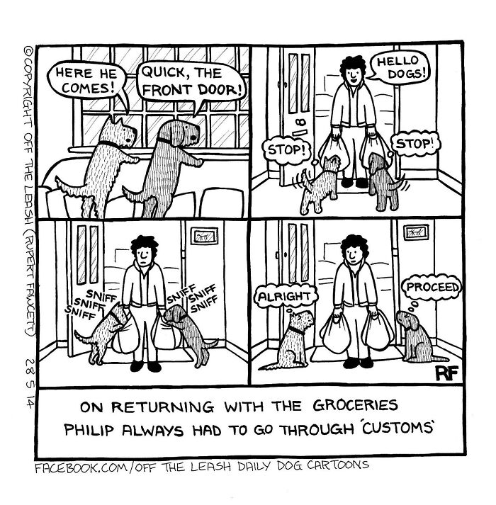 Dog owners relate to a comic showing dogs inspecting groceries at the front door like customs agents.