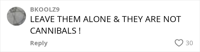 Comment expressing defense of indigenous tribe amid influencer viral TikTok stunt outrage, emphasizing respect and cultural sensitivity.