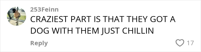 Comment on social media post expressing amazement about a dog chilling with an indigenous tribe, related to influencer TikTok stunt controversy.