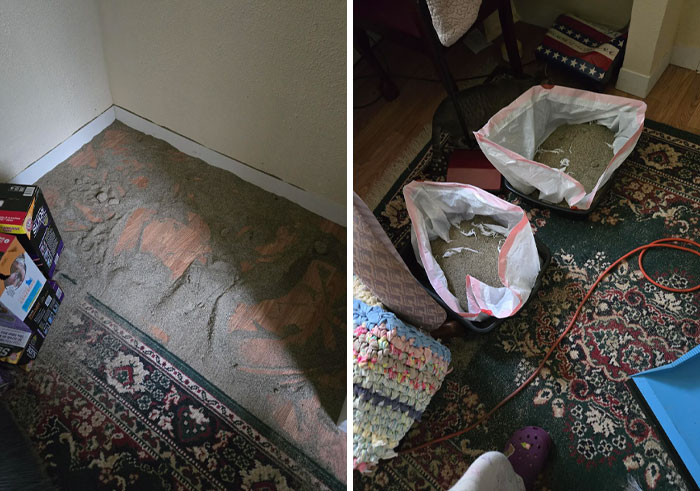 Sand spilled on carpet and two bags filled with sand showing sibling shenanigans causing mess indoors