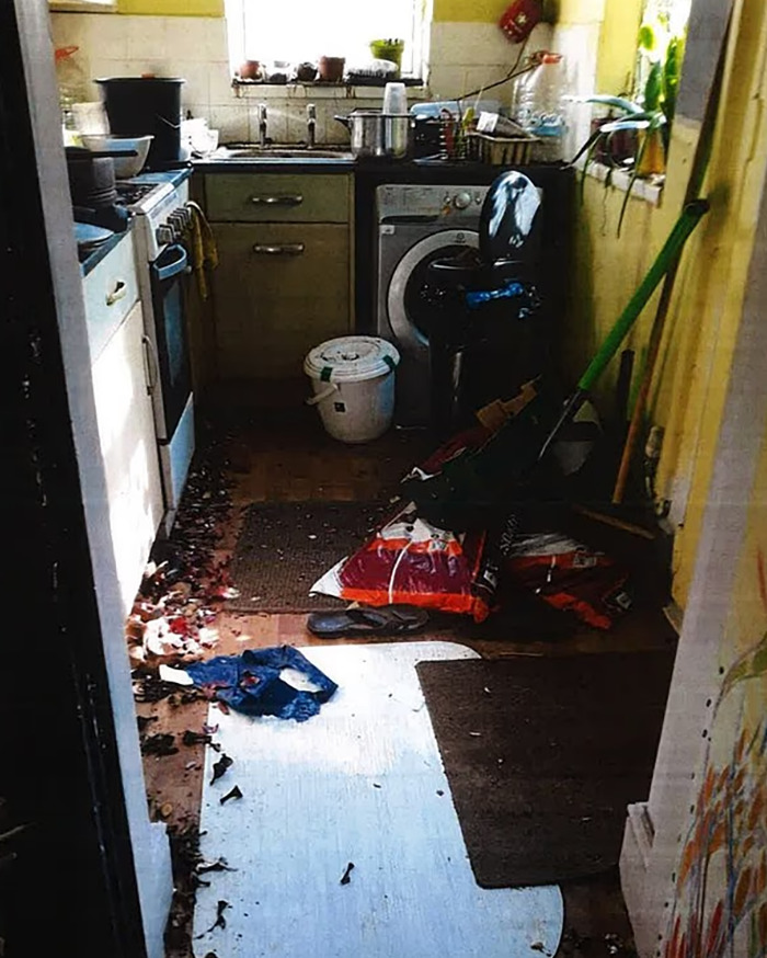 Cluttered kitchen interior with gardening supplies and scattered debris, relating to vegan diet crucial signs ignored.