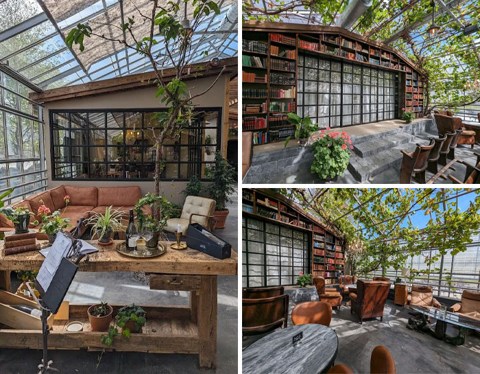 Creative bar and restaurant interior with bookshelves, greenery, and cozy seating in a stylish, sunlit space worldwide.