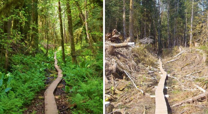 50 Comparisons Nobody Asked For But You Might Be Interested To See (New Pics)