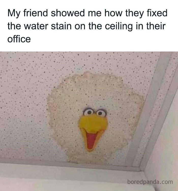 Water stain on ceiling creatively transformed into a fun crafty idea with a cartoon bird face decoration.