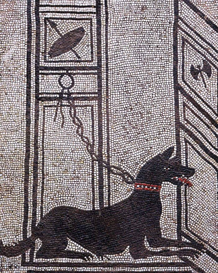 Ancient mosaic of a black dog with a chain, illustrating unfamiliar parts of history through detailed artwork.