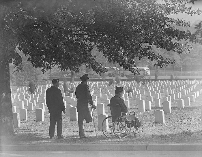 Three veterans at a military cemetery reflecting on history among rows of white grave markers under a large tree.