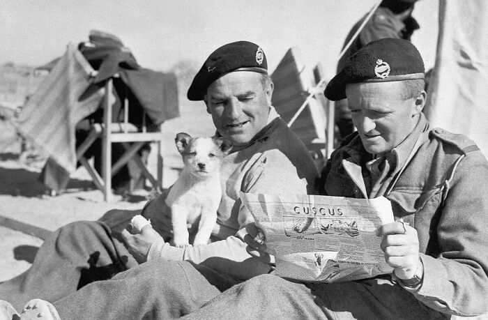 Two soldiers in berets sitting outdoors with a small puppy and reading a newspaper from unfamiliar parts of history.