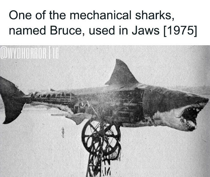 Mechanical shark named Bruce from the movie Jaws 1975, featured in random creepy facts and pics collection.