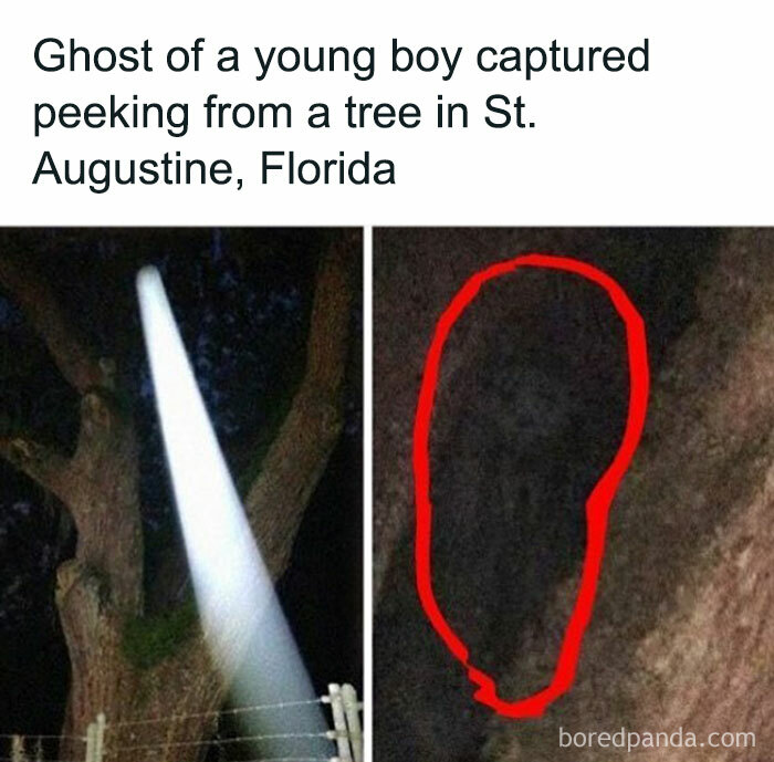 Ghostly figure resembling a young boy peeking from tree, illustrating creepy facts from sleep-depriving random creepy facts.