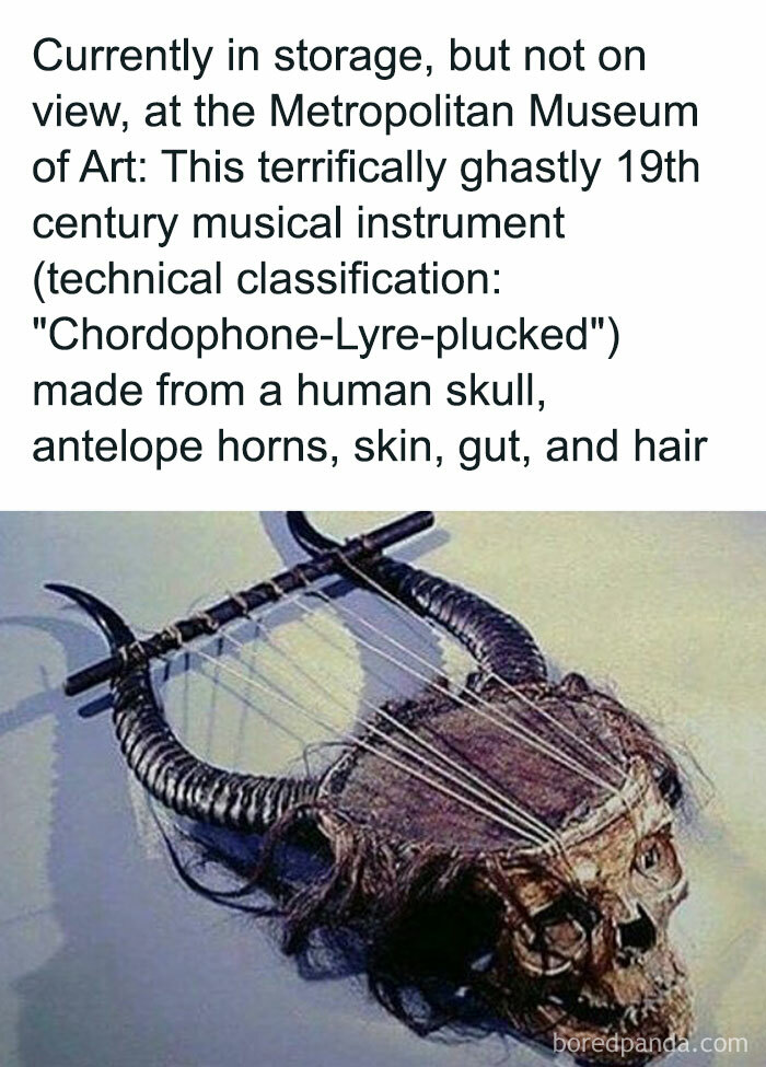 19th century creepy musical instrument made from human skull, antelope horns, skin, gut, and hair displayed in storage at museum