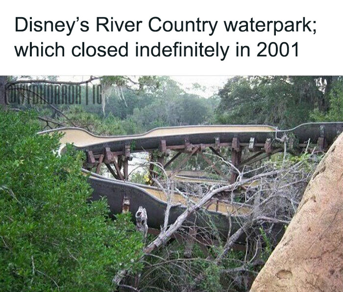 Abandoned Disney’s River Country waterpark slide overgrown with trees, a creepy scene from random creepy facts and pics.
