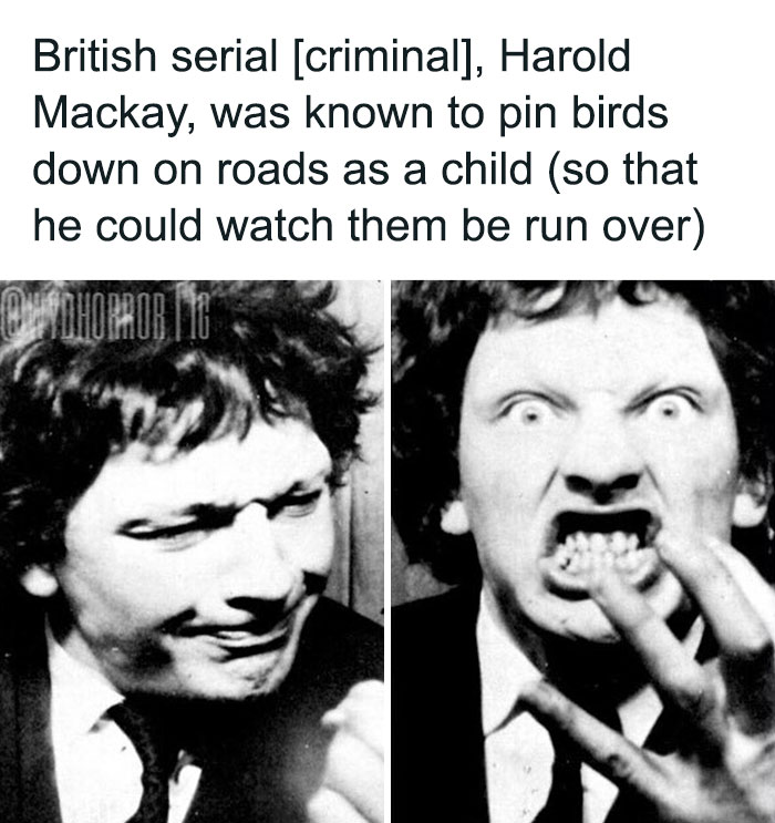 Black and white photos of British serial criminal Harold Mackay with disturbing childhood behavior creepy facts.