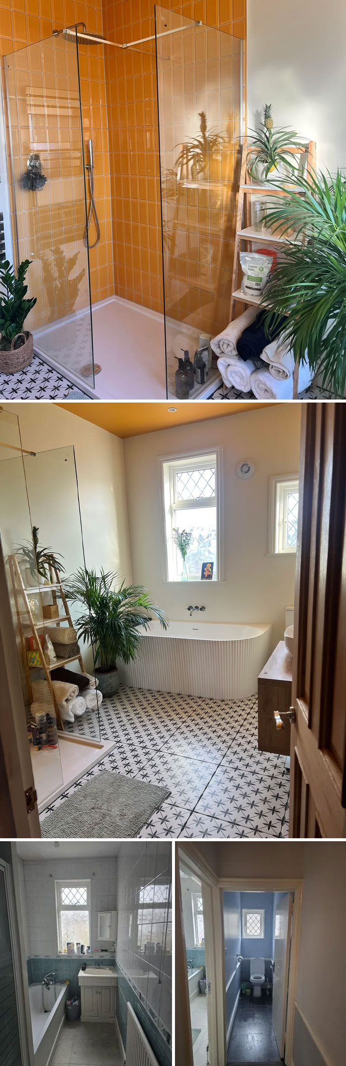 Modern bathroom corner decorated with orange tiles, plants, and patterned floor highlighting proud home decorating.