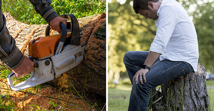 “Entitled Karen Chops Down My Tree, Costs Her £500,000”