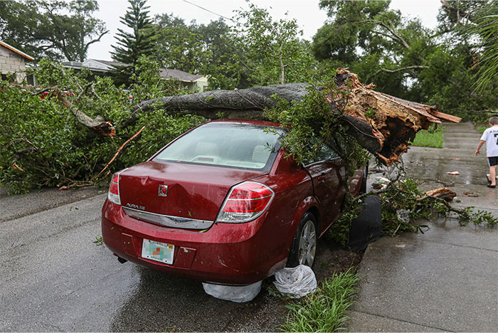 Red car crushed by large fallen tree in residential area, illustrating guardian angel protection during chaotic events. - 17