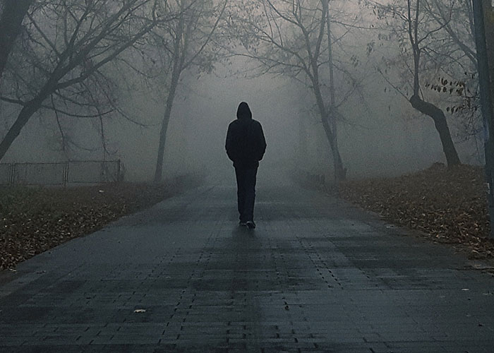 Silhouetted figure walking alone on a foggy road surrounded by bare trees, evoking a sense of terrifying road encounters.