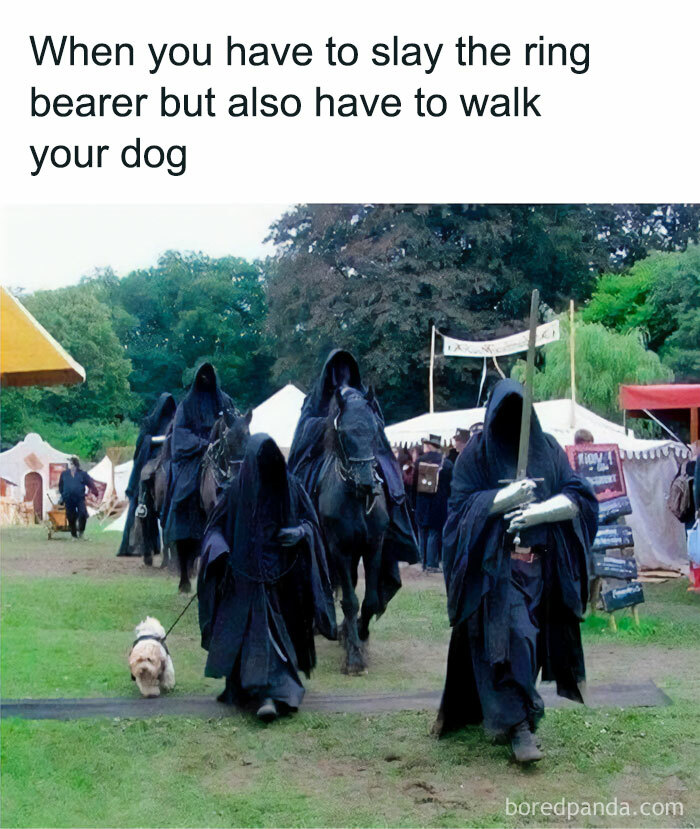Nazgûl dressed as Lord of the Rings characters, one walking a dog, in a humorous Lord of the Rings memes image.