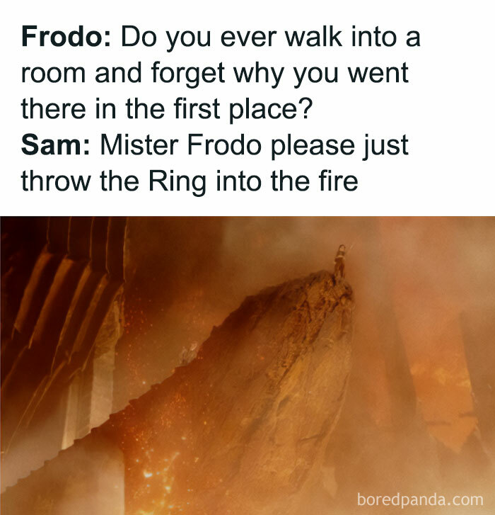 Funny Lord of the Rings meme featuring Frodo and Sam discussing throwing the Ring into the fire.