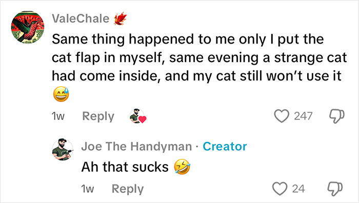 Comment exchange about handyman installing a new cat flap and a customer&rsquo;s unexpected cat-related experience.