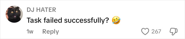 Comment from user DJ Hater with black cat profile picture saying Task failed successfully with a laughing emoji on a social media post.