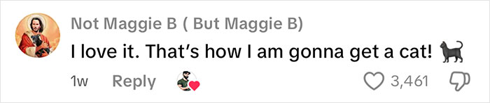 Comment expressing excitement about getting a cat, featuring a cat emoji and over 3,400 likes.