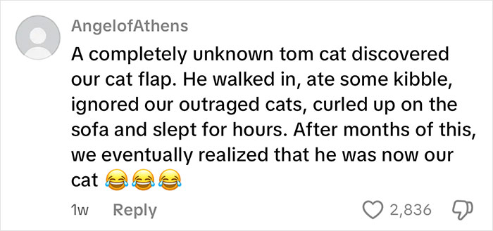 Comment describing a stranger tom cat using a newly installed cat flap and becoming the household cat.