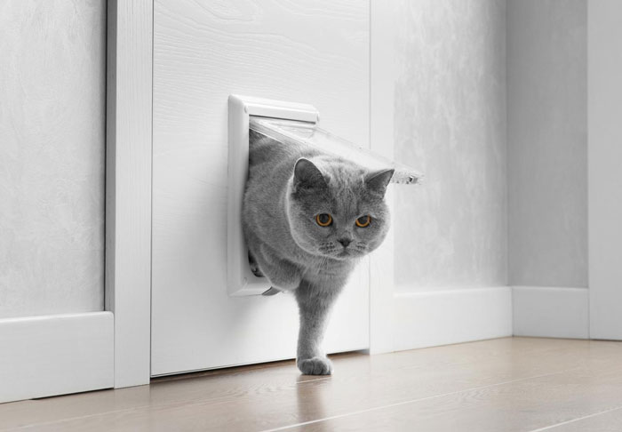 Cat stepping through new cat flap installed by handyman in a modern white door with a clear plastic flap.