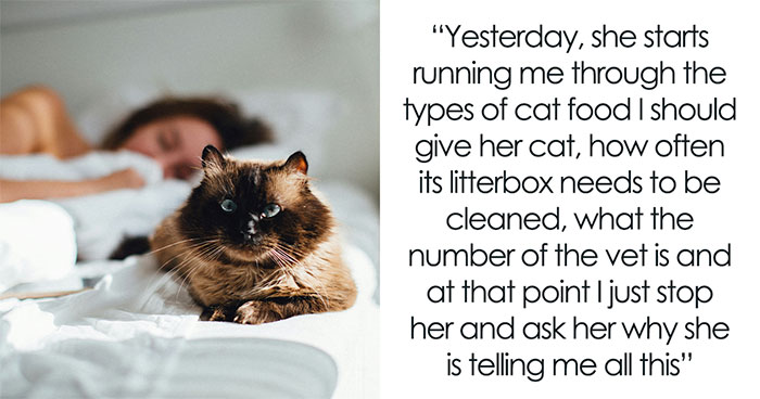 Woman Assumes Roommate Will Take Care Of Her Cat While She’s Away, In Tears After He Says No Way