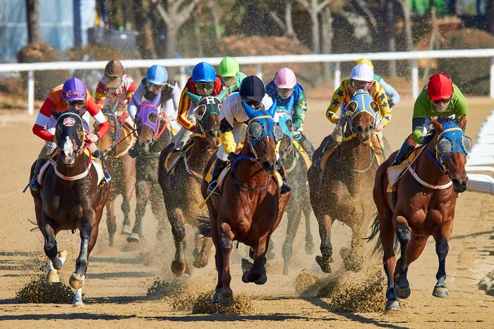 Horse race with jockeys in colorful gear kicking up dirt, illustrating strange money-making hacks in competitive betting.