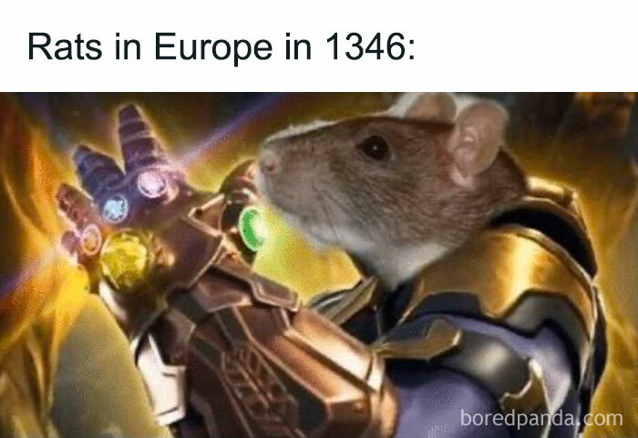 Rat wearing the Infinity Gauntlet in a meme referencing Europe in 1346, illustrating Middle Ages humor with pop culture.