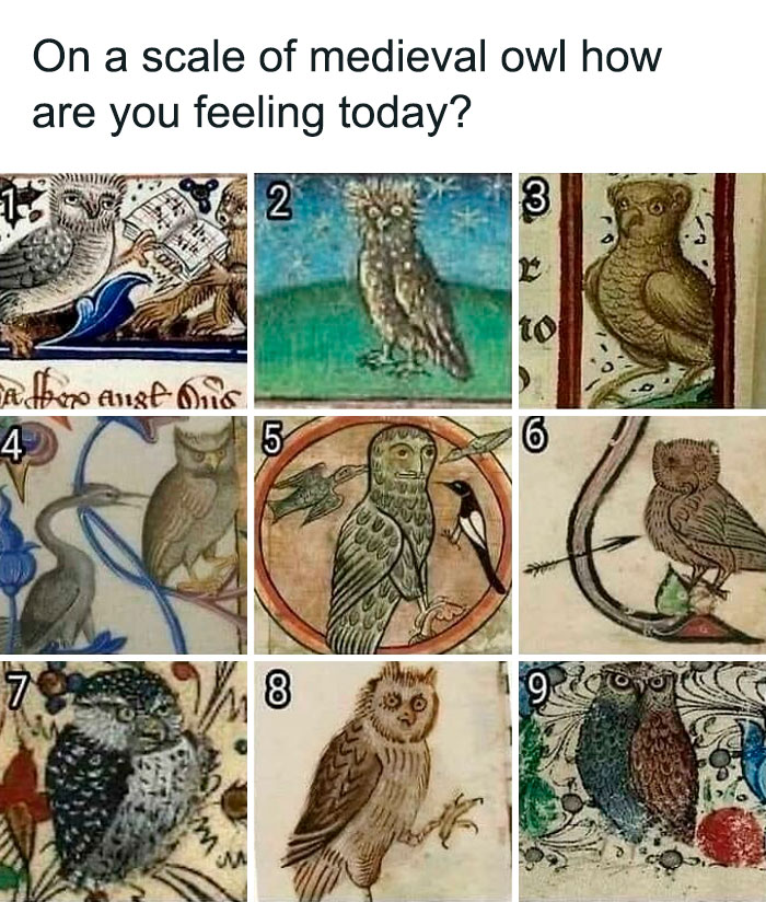 Nine humorous medieval owl illustrations from manuscripts, showcasing quirky expressions to explain moods in the Middle Ages.