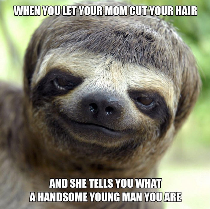Close-up of a sloth with a funny expression, part of relatable animal memes to instantly improve your mood.