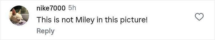 Screenshot of a social media comment denying that Miley Cyrus is in the image related to a magazine cover. - 23