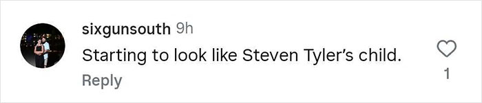 Comment on social media post referencing a resemblance to Steven Tyler’s child. - 35