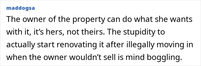 Comment discussing a couple accused of squatting and renovating an abandoned million-dollar house despite the owner's objections.