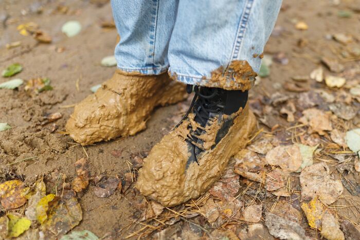 “Still Scares Me”: 47 People Who Couldn’t Sleep For Days After Spending Time In The Woods - 29