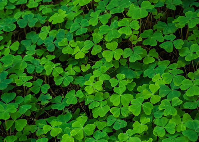 41 Wild Myths Companies Made Up Just To Sell Us Stuff