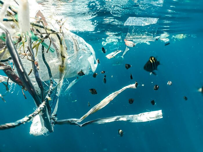 Underwater scene showing plastic pollution affecting marine life, highlighting environmental issues and good news efforts.