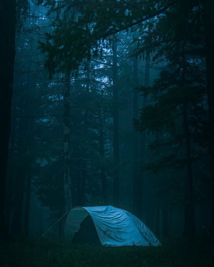 Tent set up in eerie dark woods at night, evoking feelings of fear and sleeplessness after spending time in the forest. - 3