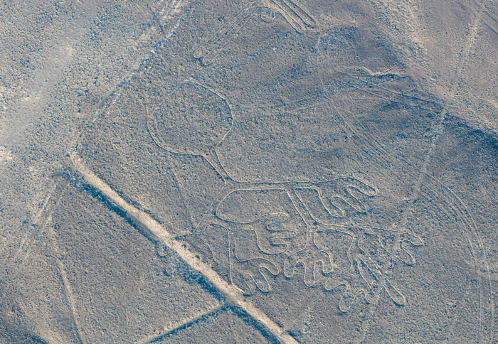 Aerial view of a large geoglyph discovered with AI assistance, showcasing ancient earth drawings in a desert landscape.