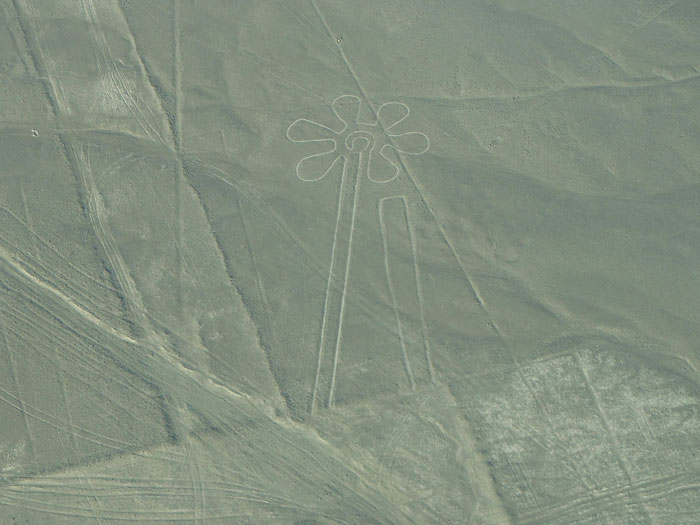 Aerial view of ancient geoglyphs in desert landscape, AI helps discover new 303 geoglyphs in historical mystery.