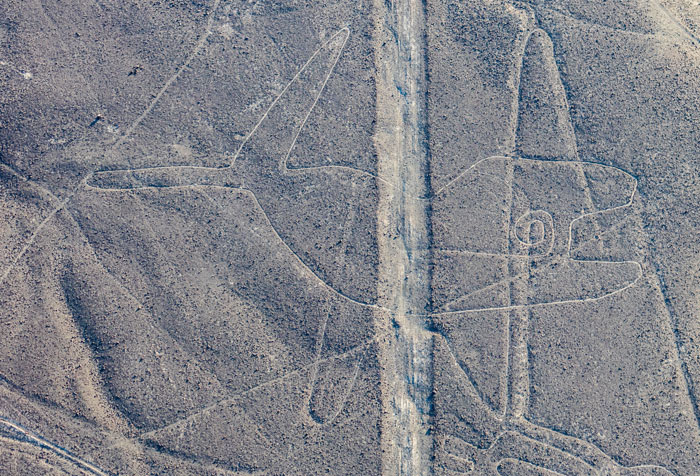 Aerial view of ancient geoglyph depicting an animal, discovered with AI technology revealing 303 mysterious figures.