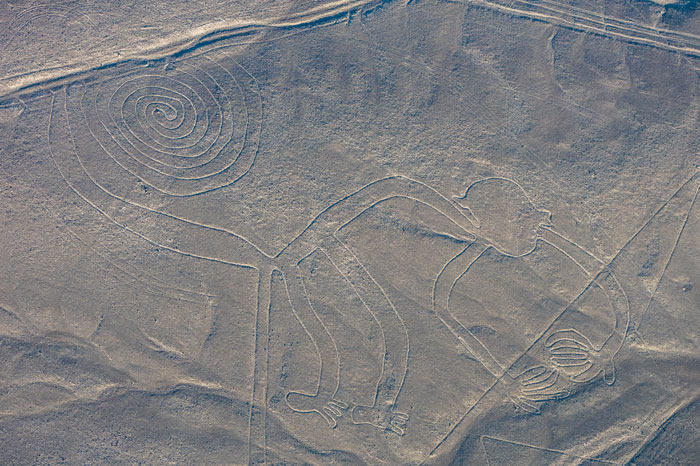 Aerial view of a large geoglyph with spiral and monkey-like shapes, related to AI discoveries of ancient geoglyphs.