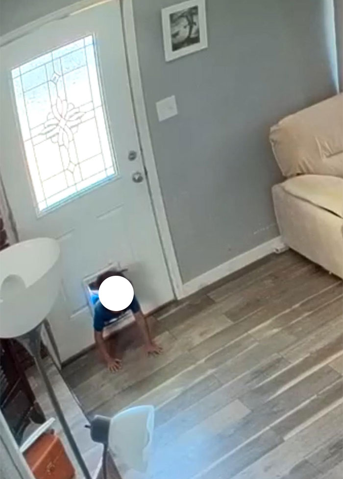Child caught crawling through pet door inside home, woman surprised by neighbor&rsquo;s son entering casually.