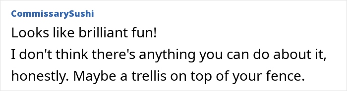 Woman frustrated by neighbor's kids' large playhouse overshadowing her house and invading privacy in the yard.