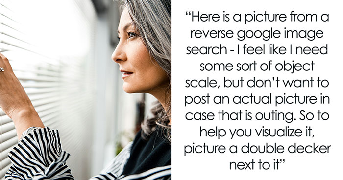 Lady Seething Over Neighbors’ Huge Overlooking Playhouse, Seeks Advice Online”