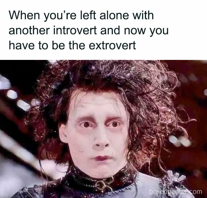 Person with wild hair and shocked expression, representing the challenge of being an extrovert with another introvert meme on neurodivergence.