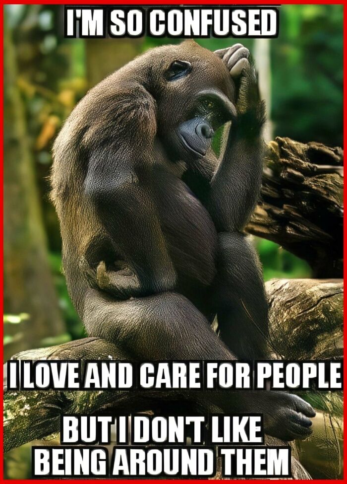 Gorilla with hand on face expressing confusion, illustrating humor related to neurodivergence and social interaction challenges.