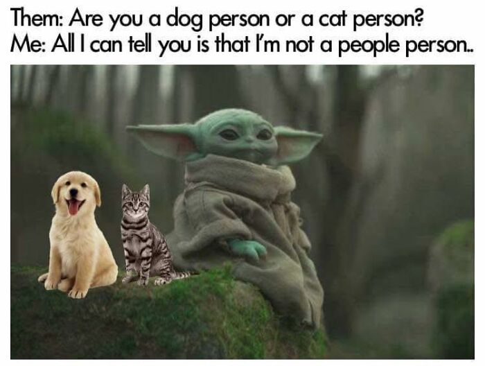Baby Yoda sitting on a mossy rock with a dog and cat, humorous meme about not being a people person and neurodivergence.