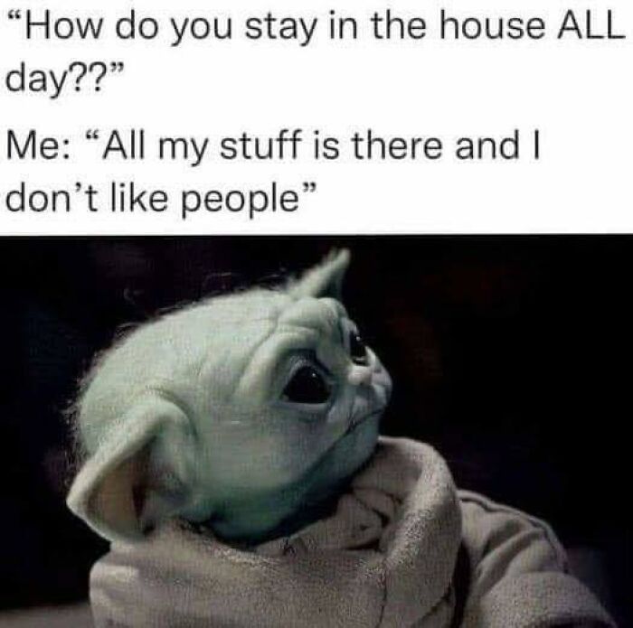 Cute Baby Yoda meme with quote about staying in the house all day, related to neurodivergence humor and social preferences.